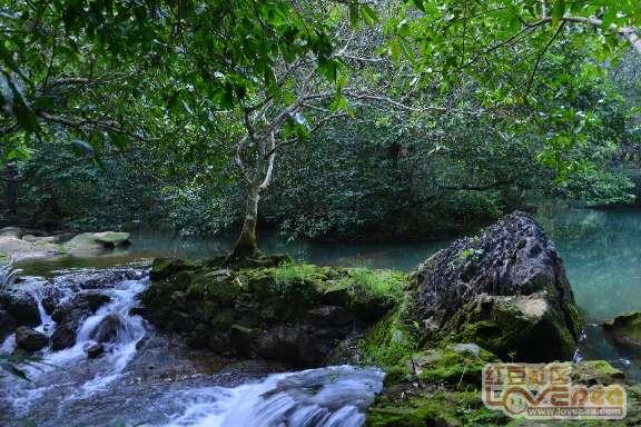 壹粉寻龙记|喜迎八方客！济南动物园巨龙腾飞，活灵活现惹人注目