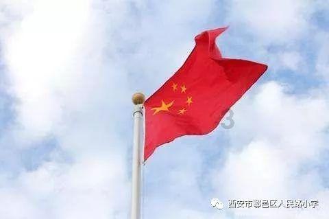 逃离仿真森林