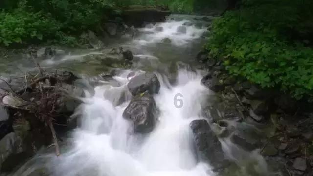数字作“引擎”用智慧交易唱响“多城记”