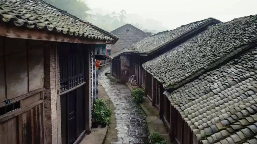 最美的校园女生66